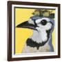 You Silly Bird - Parker-Dlynn Roll-Framed Art Print