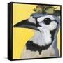 You Silly Bird - Parker-Dlynn Roll-Framed Stretched Canvas