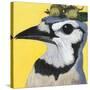 You Silly Bird - Parker-Dlynn Roll-Stretched Canvas