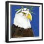 You Silly Bird - Pax-Dlynn Roll-Framed Art Print