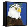 You Silly Bird - Pax-Dlynn Roll-Framed Stretched Canvas