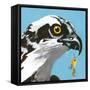 You Silly Bird - Senior-Dlynn Roll-Framed Stretched Canvas