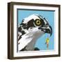 You Silly Bird - Senior-Dlynn Roll-Framed Art Print