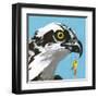 You Silly Bird - Senior-Dlynn Roll-Framed Art Print