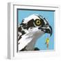 You Silly Bird - Senior-Dlynn Roll-Framed Art Print