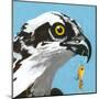 You Silly Bird - Senior-Dlynn Roll-Mounted Art Print