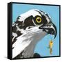 You Silly Bird - Senior-Dlynn Roll-Framed Stretched Canvas