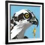 You Silly Bird - Senior-Dlynn Roll-Framed Art Print