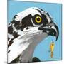 You Silly Bird - Senior-Dlynn Roll-Mounted Art Print