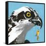 You Silly Bird - Senior-Dlynn Roll-Framed Stretched Canvas