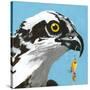 You Silly Bird - Senior-Dlynn Roll-Stretched Canvas