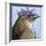 You Silly Bird - Walter-Dlynn Roll-Framed Art Print