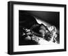 You Were Never Lovelier ,Rita Hayworth, Directed by William A. Seiter, 1942-null-Framed Photographic Print