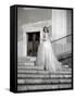 Young Adult Female in Long Wedding Dress Standing on Steps-Steven Boone-Framed Stretched Canvas