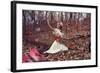 Young Adult Female with Butterflies in Woods-Ariel Marie Miller-Framed Photographic Print