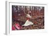 Young Adult Female with Butterflies in Woods-Ariel Marie Miller-Framed Photographic Print