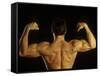 Young Adult Male Posing with Arms Flexed-Chris Trotman-Framed Stretched Canvas