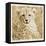 Young Africa Cheetah-Susann Parker-Framed Stretched Canvas
