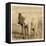 Young Africa Elephant-Susann Parker-Framed Stretched Canvas