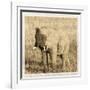 Young Africa Elephant-Susann Parker-Framed Photographic Print