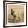 Young Africa Elephant-Susann Parker-Framed Photographic Print