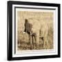 Young Africa Elephant-Susann Parker-Framed Photographic Print