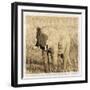 Young Africa Elephant-Susann Parker-Framed Photographic Print