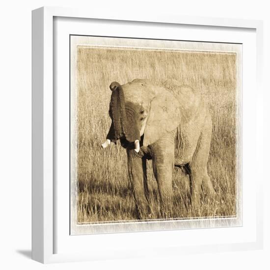 Young Africa Elephant-Susann Parker-Framed Photographic Print