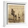 Young Africa Elephant-Susann Parker-Framed Photographic Print