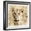 Young Africa Lion-Susann Parker-Framed Premium Photographic Print