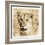 Young Africa Lion-Susann Parker-Framed Photographic Print
