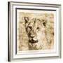 Young Africa Lion-Susann Parker-Framed Photographic Print