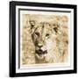 Young Africa Lion-Susann Parker-Framed Photographic Print