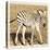 Young Africa Zebra-Susann Parker-Stretched Canvas