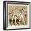 Young Africa Zebra-Susann Parker-Framed Photographic Print