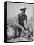 Young African American Sharecropper Woman Picking Peas in a Field on Farm-Andreas Feininger-Framed Stretched Canvas