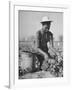 Young African American Sharecropper Woman Picking Peas in a Field on Farm-Andreas Feininger-Framed Photographic Print