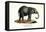 Young African Elephant, 1824-Karl Joseph Brodtmann-Framed Stretched Canvas