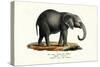 Young African Elephant, 1824-Karl Joseph Brodtmann-Stretched Canvas