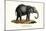 Young African Elephant, 1824-Karl Joseph Brodtmann-Mounted Giclee Print