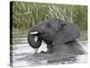 Young African Elephant (Loxodonta Africana) Playing in the Water, Serengeti National Park, UNESCO W-James Hager-Stretched Canvas