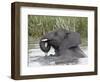 Young African Elephant (Loxodonta Africana) Playing in the Water, Serengeti National Park, UNESCO W-James Hager-Framed Photographic Print