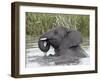 Young African Elephant (Loxodonta Africana) Playing in the Water, Serengeti National Park, UNESCO W-James Hager-Framed Photographic Print