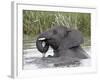 Young African Elephant (Loxodonta Africana) Playing in the Water, Serengeti National Park, UNESCO W-James Hager-Framed Photographic Print