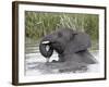 Young African Elephant (Loxodonta Africana) Playing in the Water, Serengeti National Park, UNESCO W-James Hager-Framed Photographic Print