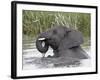 Young African Elephant (Loxodonta Africana) Playing in the Water, Serengeti National Park, UNESCO W-James Hager-Framed Photographic Print