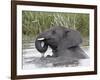 Young African Elephant (Loxodonta Africana) Playing in the Water, Serengeti National Park, UNESCO W-James Hager-Framed Photographic Print
