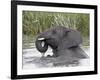Young African Elephant (Loxodonta Africana) Playing in the Water, Serengeti National Park, UNESCO W-James Hager-Framed Photographic Print