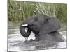 Young African Elephant (Loxodonta Africana) Playing in the Water, Serengeti National Park, UNESCO W-James Hager-Mounted Photographic Print