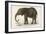 Young African Elephant-null-Framed Art Print